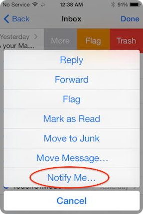 iOS 8 permite habilitar las notificaciones para ciertos emails