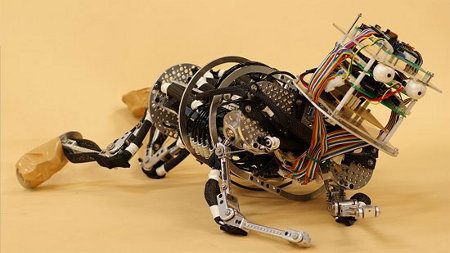 Japoneses construyen bebés robóticos
