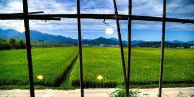 Japón convierte 1,3 millones de hectáreas en granjas solares