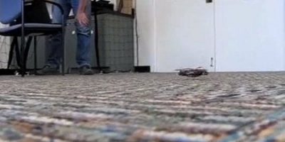 Este robot es capaz de imitar la velocidad de las patas de una cucaracha