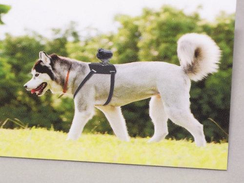 Sony presenta un nuevo arnés para perros
