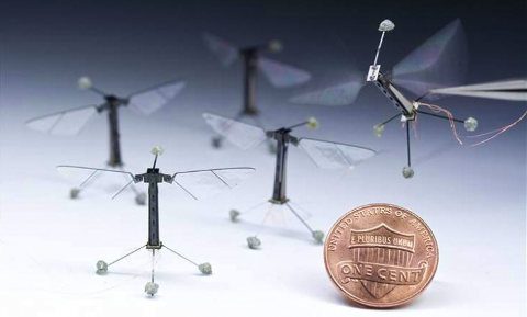 Mira los drones más pequeños del mundo