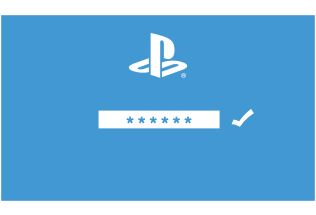 Playstation Network