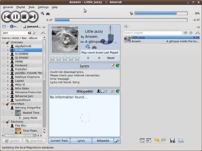 Amarok, una de la más sólidas alternativas a VLC Media Player